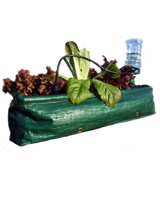 Nigel`s Eco Store Window Box Salad Kit - grow your own leafy