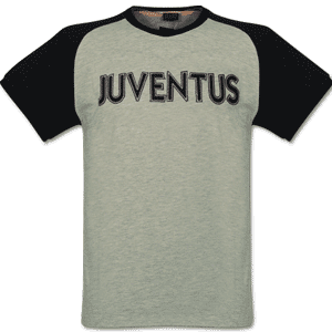 Nike 03-04 Juventus Transit Raglan Tee - Grey