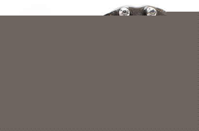 Nike Football Boots Nike Mercurial Vapor VII SG Football Boots