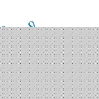 Ladies Air Pegasus Plus 28 Trail Shoes SP12