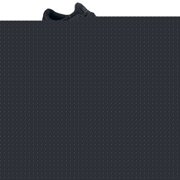 Nike Ladies Free Run Plus 2 Shoes SP12