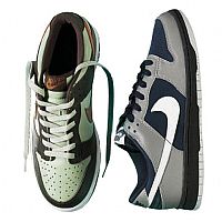 Nike Mens Dunk Low Pro Training Shoes