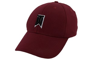 TW Swoosh Flex Golf Cap
