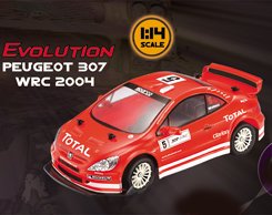 NIKKO peugeot 307 rally car