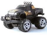 R/C Ford F150 (Brushed Metal)