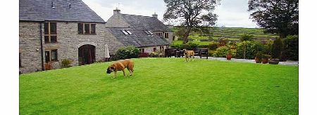 Nomow Meadow Artificial Grass - 4 x 4 Metres