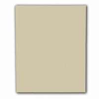 Non-Branded 450mm Appliance Door High Gloss Caramel