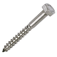 Non-Branded Coach Screws A2 Stainless Steel M6 x 50mm Pack of 10