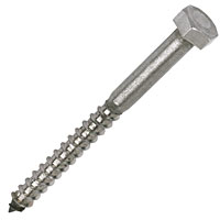 Non-Branded Coach Screws A2 Stainless Steel M8 x 100mm Pack of 10