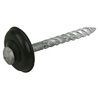 Non-Branded Cone Head Drive Nails 5.4 x 75mm 50 Units