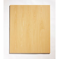 Non-Branded Slimline Appliance Door Linea Beech 450mm