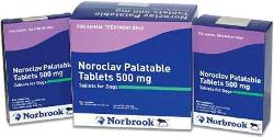 Norbrook Noroclav 500mg