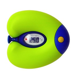NScessity Fish Bath Themometer