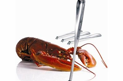 Nuance Gourmet Forks Set of 4 Gourmet Forks