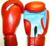 NWS Boxing Gloves 6oz - LEATHER-Red/Blue Combo