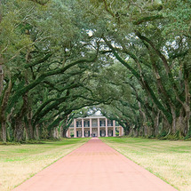 Oak Alley Plantation Tour - Adult