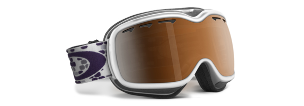 Oakley Goggles Stockholm Ski Goggles