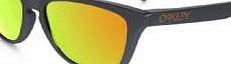 Oakley Polarized Frogskins Sunglasses Dark Grey/