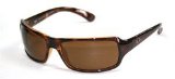 Oakley Ray Ban 4075 Sunglasses 642/57 HAVANA/ POLAR CRYSTAL BROWN 61/16 Medium
