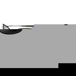 oakley Whisker Sunglasses - Black/Black