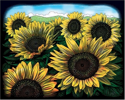 Oasis - Colourfoil Sunflowers
