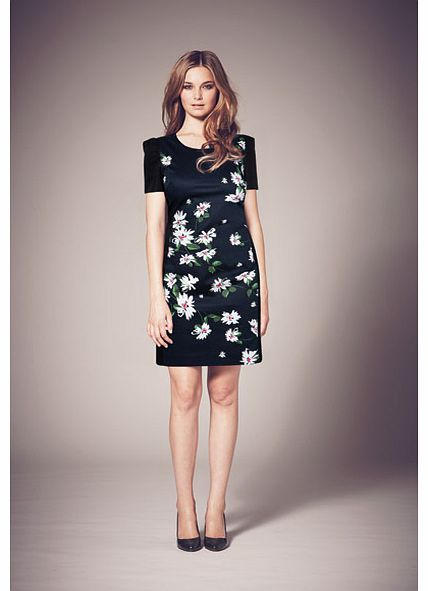 Oasis 40S Daisy Floral Shift Dress