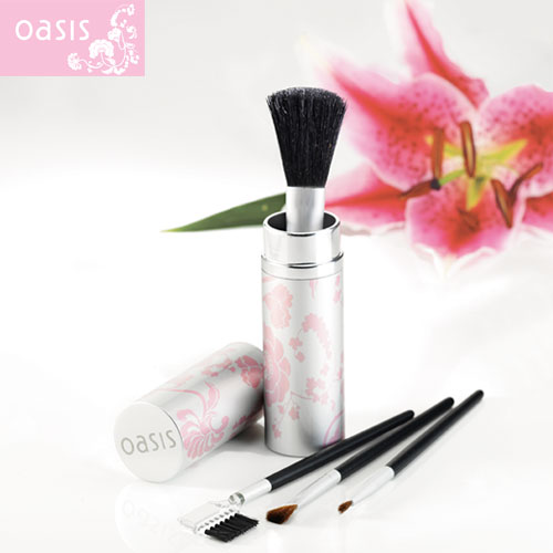 Oasis Brush Gift Set
