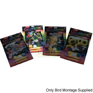 Oasis Colourfoil Birds Montage