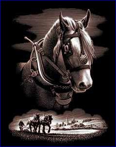 Oasis Copper Foil Horse Portrait