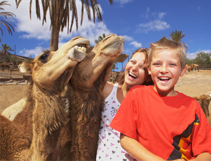 &ndash; From Corralejo