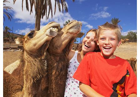 Oasis Park Fuerteventura