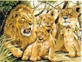 Oasis Reeves - Paint By Numbers Pride Of Lions