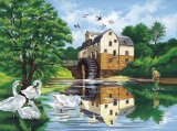 oasis Reeves - Paint by Numbers Senior Watermill