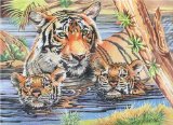 Oasis Reeves - Senior Pencil By Numbers Tiger and Cub