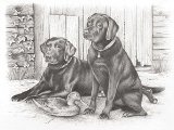 Oasis Reeves - Sketching By Numbers Black Labradors
