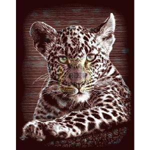 Oasis Reeves Copper Scraperfoil Leopard Cub