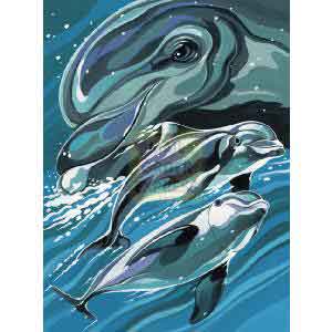 Oasis Reeves Junior Paint By Numbers Dolphin Portrait