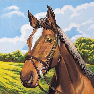 Oasis Reeves Junior Paint By Numbers Horses Head