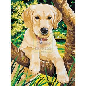 Reeves Junior Paint By Numbers Labrador