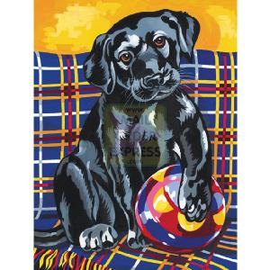 Oasis Reeves Junior Paint by Numbers Playful Labrador