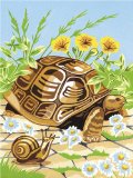 oasis Reeves Painting by Numders Junior - Tortoise