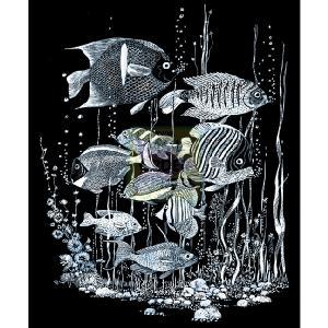 Oasis Reeves Scraperfoil Fish Montage