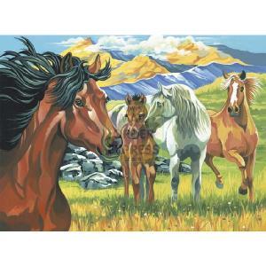 Oasis Reeves Senior Paint By Numbers Wild Horses
