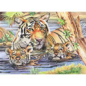 Oasis Reeves Senior Pencil By Numbers Tiger and Cub