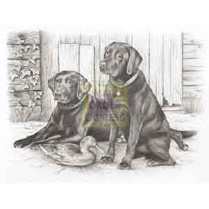 Oasis Reeves Sketching By Numbers Black Labradors