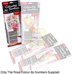 Oasis Reeves Tall and Narrow Colour By Numbers Roses