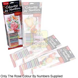 Oasis Reeves Tall and Narrow Colour By Numbers Roses