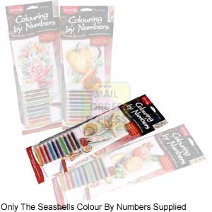 Oasis Reeves Tall and Narrow Colour By Numbers Sea Shells