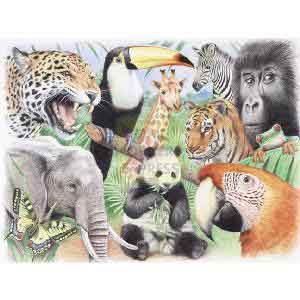 Oasis Reeves Watercolour By Numbers Jungle Animals
