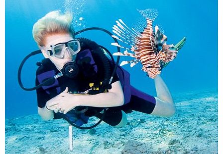 OCEAN College - Scuba Diving In Sharm El Sheikh